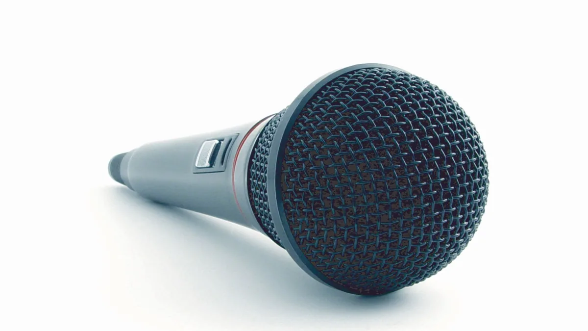 Close up of a condenser microphone illustrating sound re 3675621